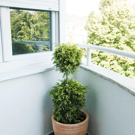 Ella Apartman Čapljina